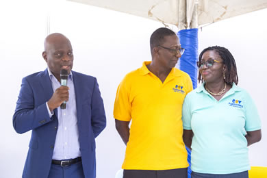 Springtime allergies